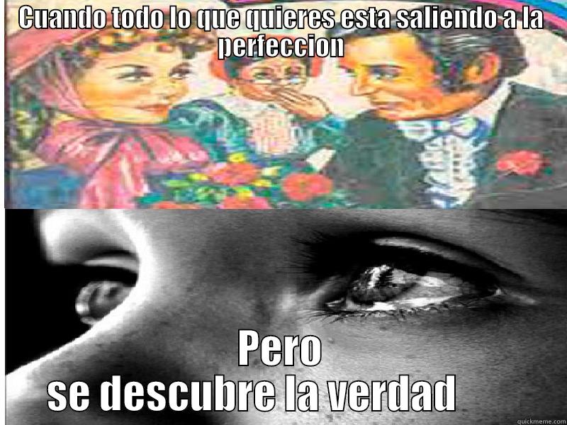 CUANDO TODO LO QUE QUIERES ESTA SALIENDO A LA PERFECCION PERO SE DESCUBRE LA VERDAD        Misc