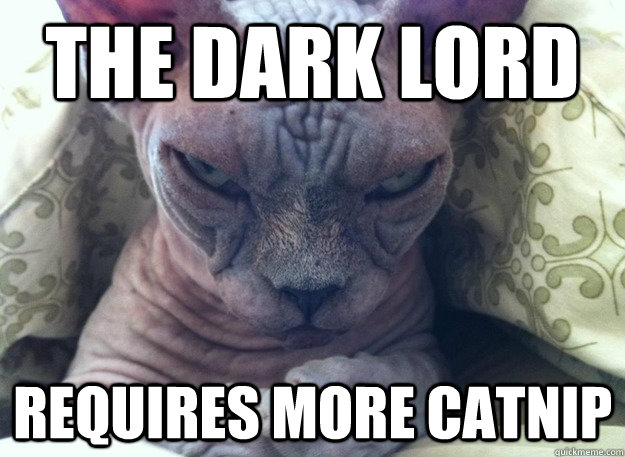 The dark lord requires more catnip - The dark lord requires more catnip  Misc