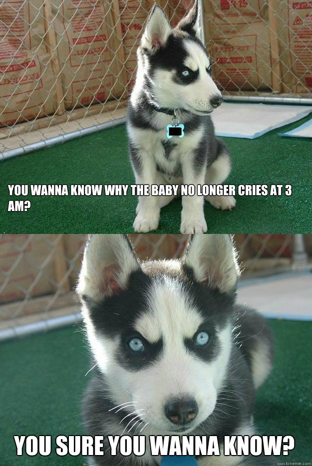 You wanna know why the baby no longer cries at 3 am? You sure you wanna know?  Insanity puppy