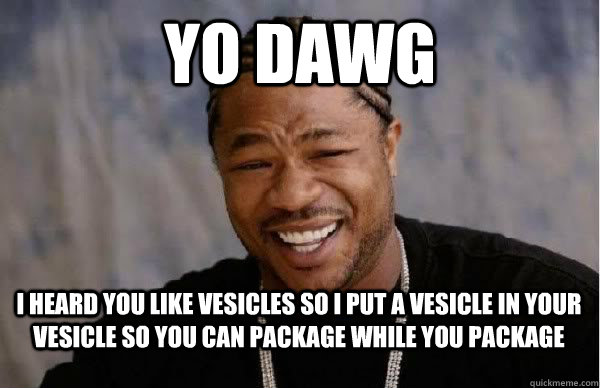 yo dawg i heard you like vesicles so i put a vesicle in your vesicle so you can package while you package - yo dawg i heard you like vesicles so i put a vesicle in your vesicle so you can package while you package  Yo Dawg BFMV