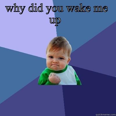 WHY DID YOU WAKE ME UP   Success Kid