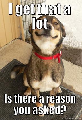 I GET THAT A LOT IS THERE A REASON YOU ASKED? Good Dog Greg
