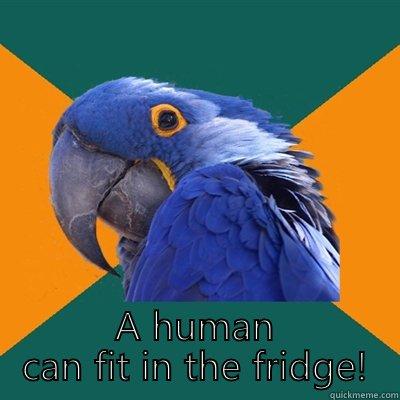 P.S. Just so you know -  A HUMAN CAN FIT IN THE FRIDGE! Paranoid Parrot