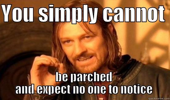 YOU SIMPLY CANNOT  BE PARCHED AND EXPECT NO ONE TO NOTICE Boromir