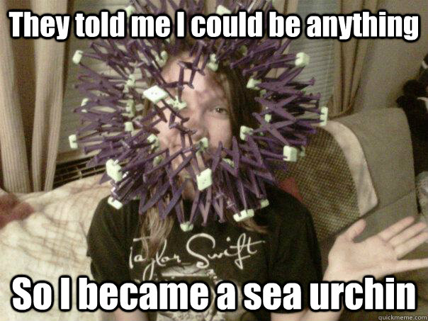 They told me I could be anything So I became a sea urchin - They told me I could be anything So I became a sea urchin  Confused TSwift fan