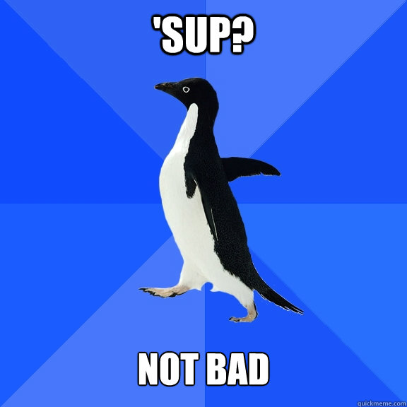 'sup?   not bad - 'sup?   not bad  Socially Awkward Penguin
