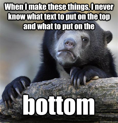 When I make these things, I never know what text to put on the top and what to put on the bottom  Confession Bear