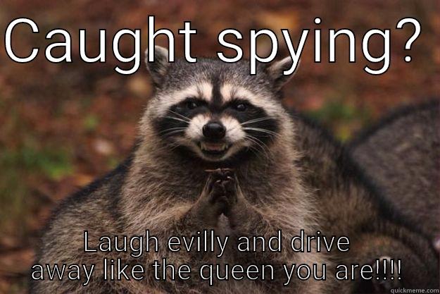 CAUGHT SPYING?  LAUGH EVILLY AND DRIVE AWAY LIKE THE QUEEN YOU ARE!!!! Evil Plotting Raccoon