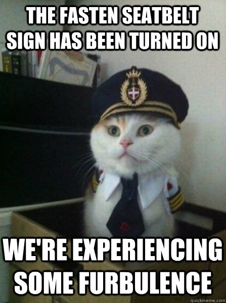 The fasten seatbelt sign has been turned on we're experiencing some furbulence  Captain kitteh