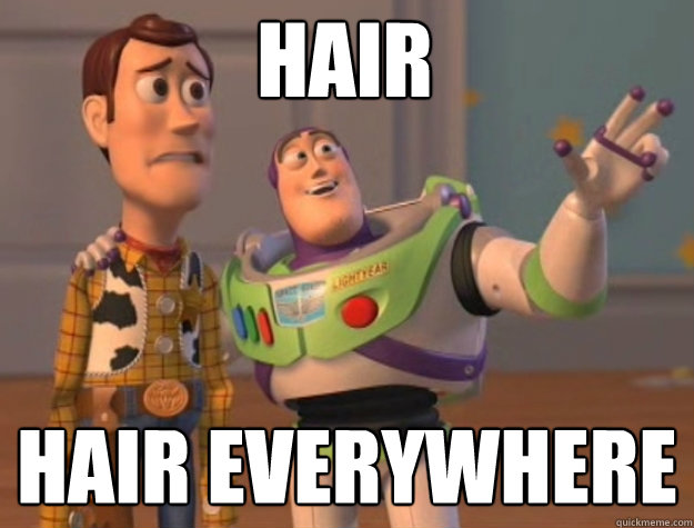 Hair hair everywhere  toystory everywhere