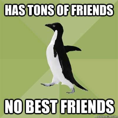 has tons of friends no best friends  Socially Average Penguin