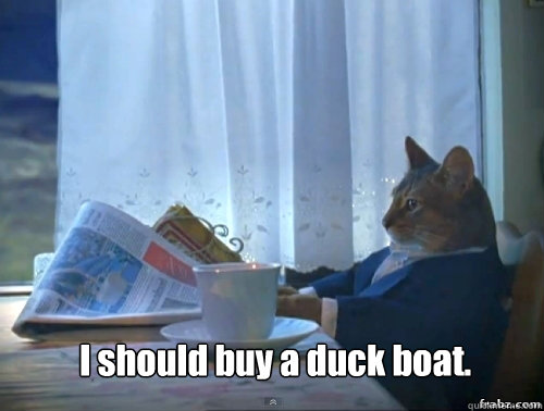  I should buy a duck boat.  Contemplative Breakfast Cat