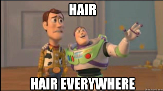 Hair Hair everywhere  Buzz and Woody