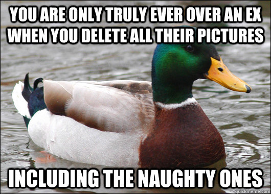 You are only truly ever over an ex when you delete all their pictures Including the naughty ones  Actual Advice Mallard