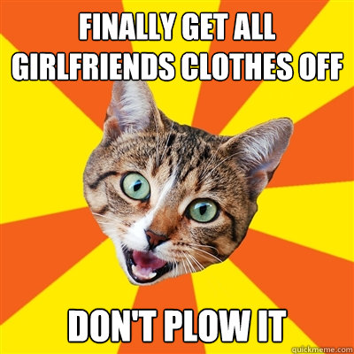 finally get all girlfriends clothes off don't plow it  Bad Advice Cat
