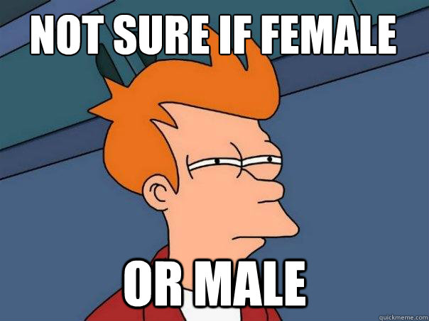 not sure if female or male  Futurama Fry