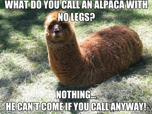 what do you call an alpaca with no legs? Nothing...
He can't come if you call anyway!   Alpacapillar