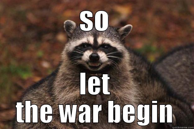 SO LET THE WAR BEGIN Evil Plotting Raccoon