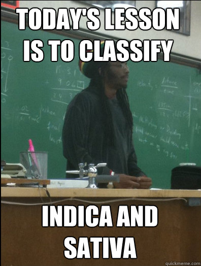 TODAY'S LESSON IS TO CLASSIFY Indica and sativa  Rasta Science Teacher