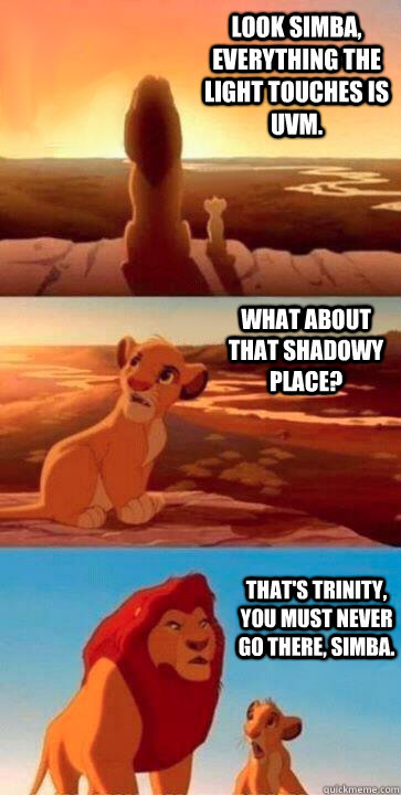 look simba, everything the light touches is UVM. what about that shadowy place? that's Trinity, you must never go there, simba.  SIMBA