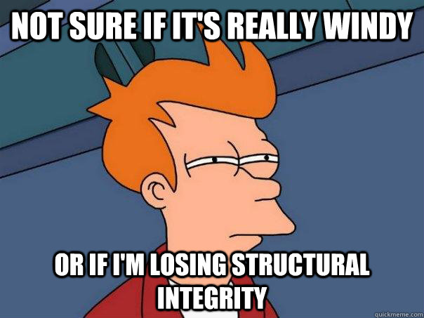 Not sure if it's really windy Or if I'm losing structural integrity  - Not sure if it's really windy Or if I'm losing structural integrity   Futurama Fry