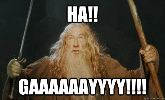 Ha!! GAAAAAAYYYY!!!! - Ha!! GAAAAAAYYYY!!!!  Gandalf