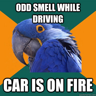 ODD SMELL WHILE DRIVING CAR IS ON FIRE  Paranoid Parrot