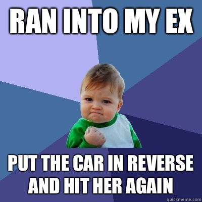 Ran into my ex Put the car in reverse and hit her again - Ran into my ex Put the car in reverse and hit her again  Success Kid