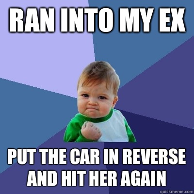 Ran into my ex Put the car in reverse and hit her again - Ran into my ex Put the car in reverse and hit her again  Success Kid