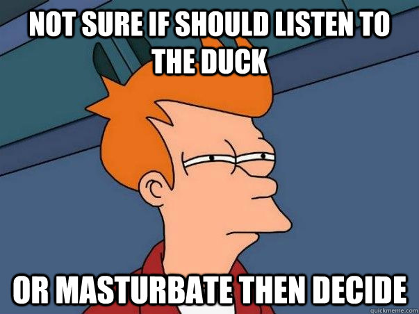 Not sure if should listen to the Duck   or masturbate then decide  Not sure Fry