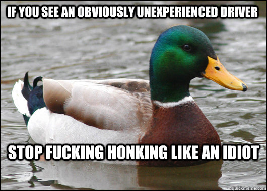 If you see an obviously unexperienced driver  stop fucking honking like an idiot  Actual Advice Mallard