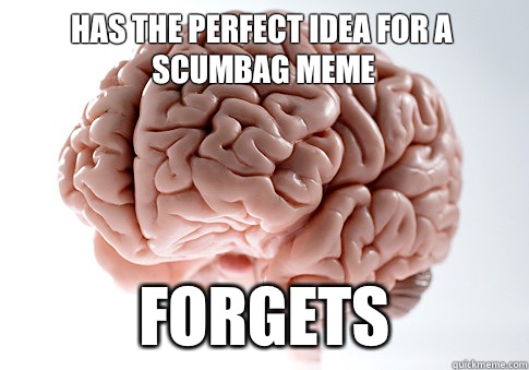 HAS THE PERFECT IDEA FOR A SCUMBAG MEME Forgets  Scumbag Brain