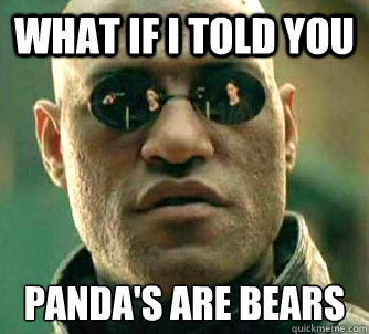 What if I told you Panda's Are Bears  Matrix Morpheus