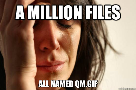 A Million Files All named qm.gif  First World Problems