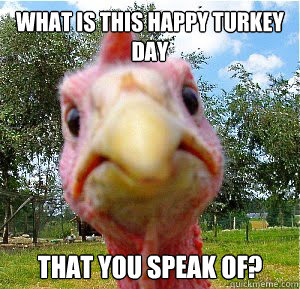 What is this happy turkey day that you speak of? - What is this happy turkey day that you speak of?  Misc