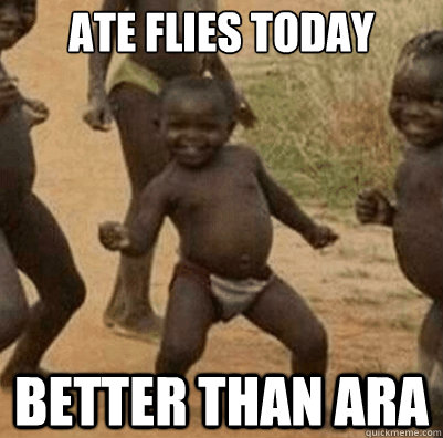 Ate Flies Today Better than ARA  Third World Success Kid