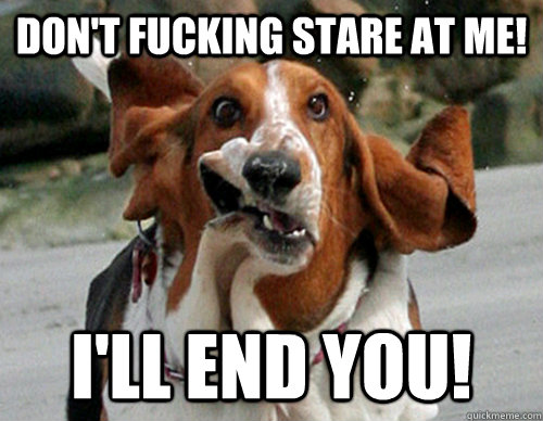 DON'T FUCKING STARE AT ME! I'LL END YOU!  Blown Away Basset