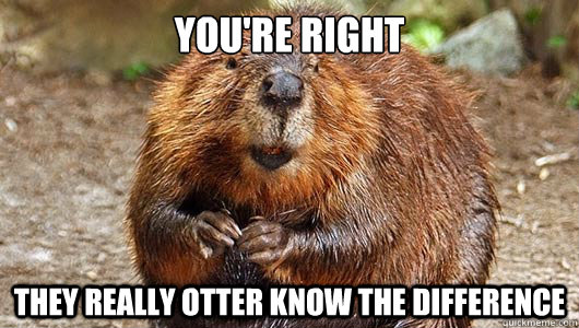 you're right they really otter know the difference - you're right they really otter know the difference  Misc