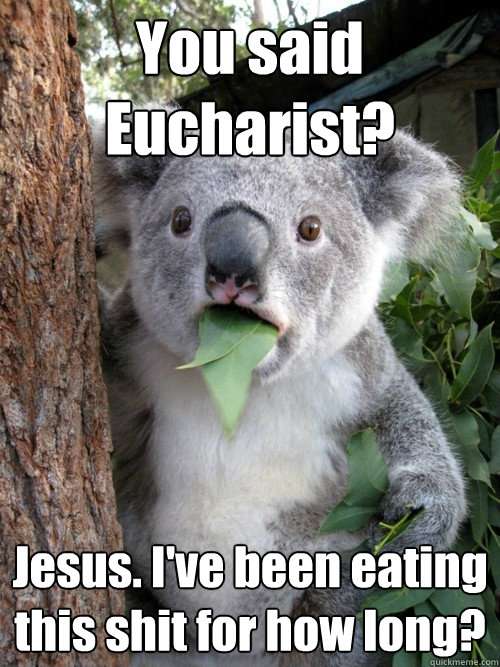 You said Eucharist? Jesus. I've been eating this shit for how long?  Shocked Koala