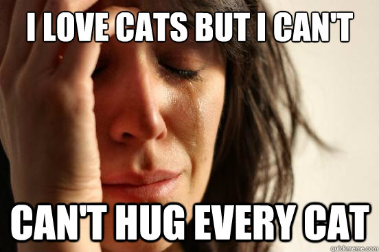 i love cats but i can't can't hug every cat  First World Problems
