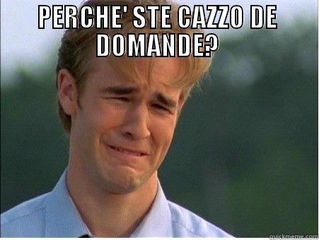 PERCHE' STE CAZZO DE DOMANDE?  1990s Problems