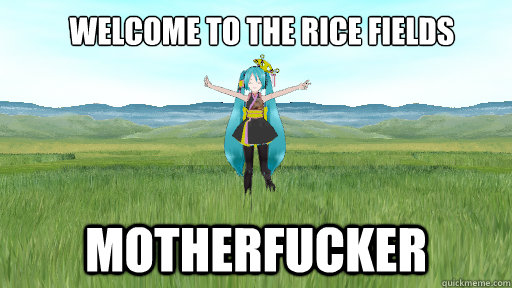 welcome to the rice fields motherfucker - welcome to the rice fields motherfucker  miku rice fields