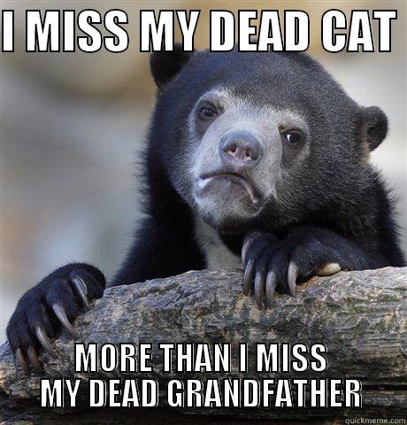 I MISS MY DEAD CAT  MORE THAN I MISS MY DEAD GRANDFATHER Confession Bear