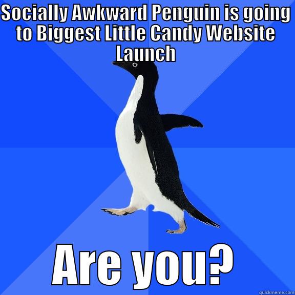 SOCIALLY AWKWARD PENGUIN IS GOING TO BIGGEST LITTLE CANDY WEBSITE LAUNCH ARE YOU? Socially Awkward Penguin