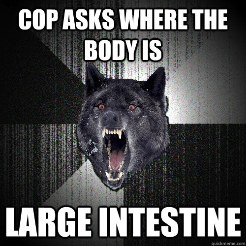 Cop asks where the body is large intestine  Insanity Wolf