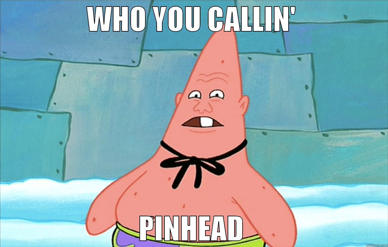 WHO YOU CALLIN' PINHEAD Misc