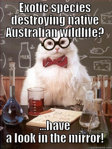 Exotic species - EXOTIC SPECIES DESTROYING NATIVE AUSTRALIAN WILDLIFE? ...HAVE A LOOK IN THE MIRROR! Chemistry Cat