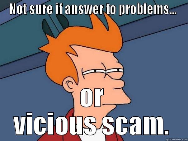 NOT SURE IF ANSWER TO PROBLEMS... OR VICIOUS SCAM. Futurama Fry
