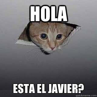 hola ¿Esta el Javier?  Ceiling Cat
