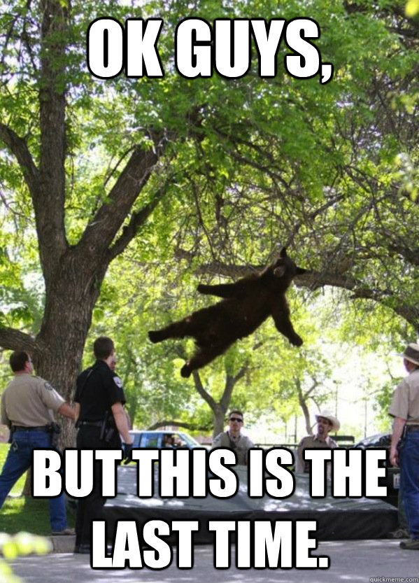 OK Guys, but this is the last time.  i am a falling bear